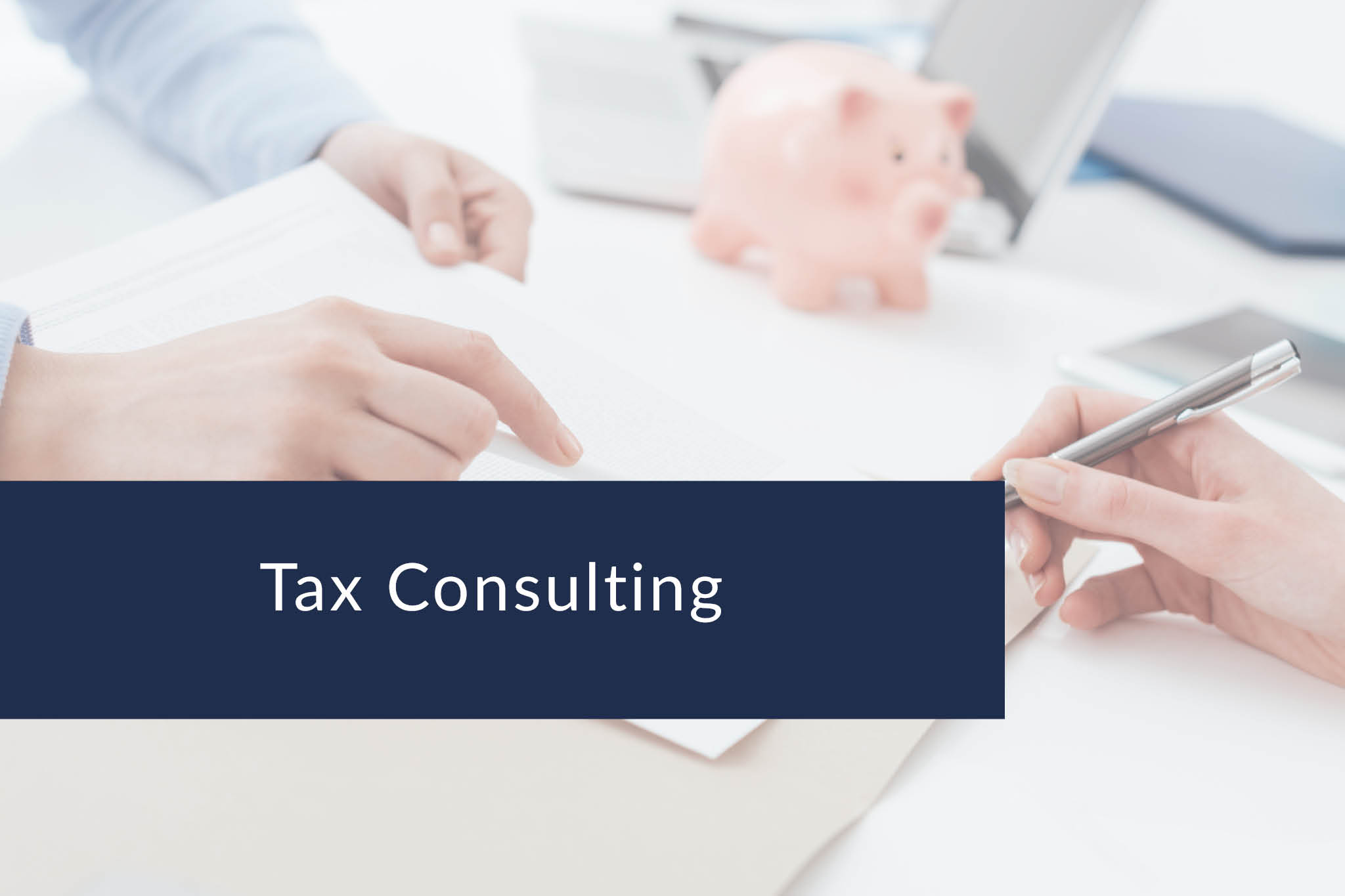 Tax Consulting